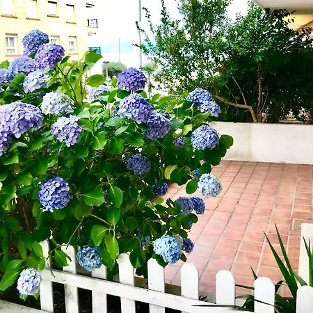 Playa Silgar 30m Apartament