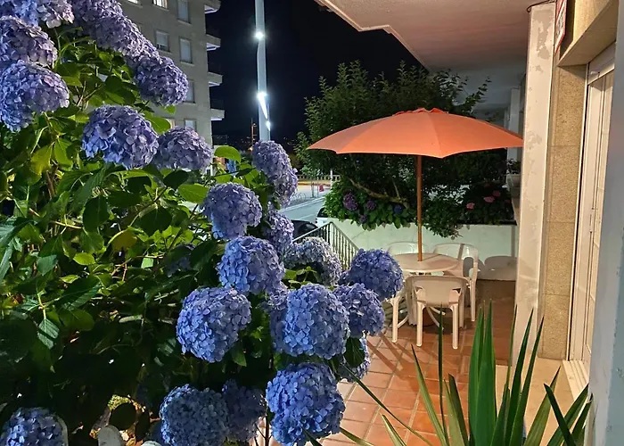 Appartement Playa Silgar 30m *